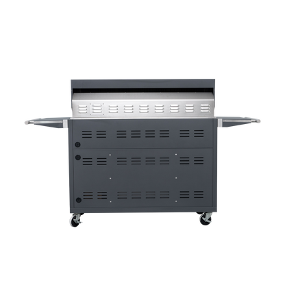 Grey Painting LPG 49'' Stainless Steel Standard Grill