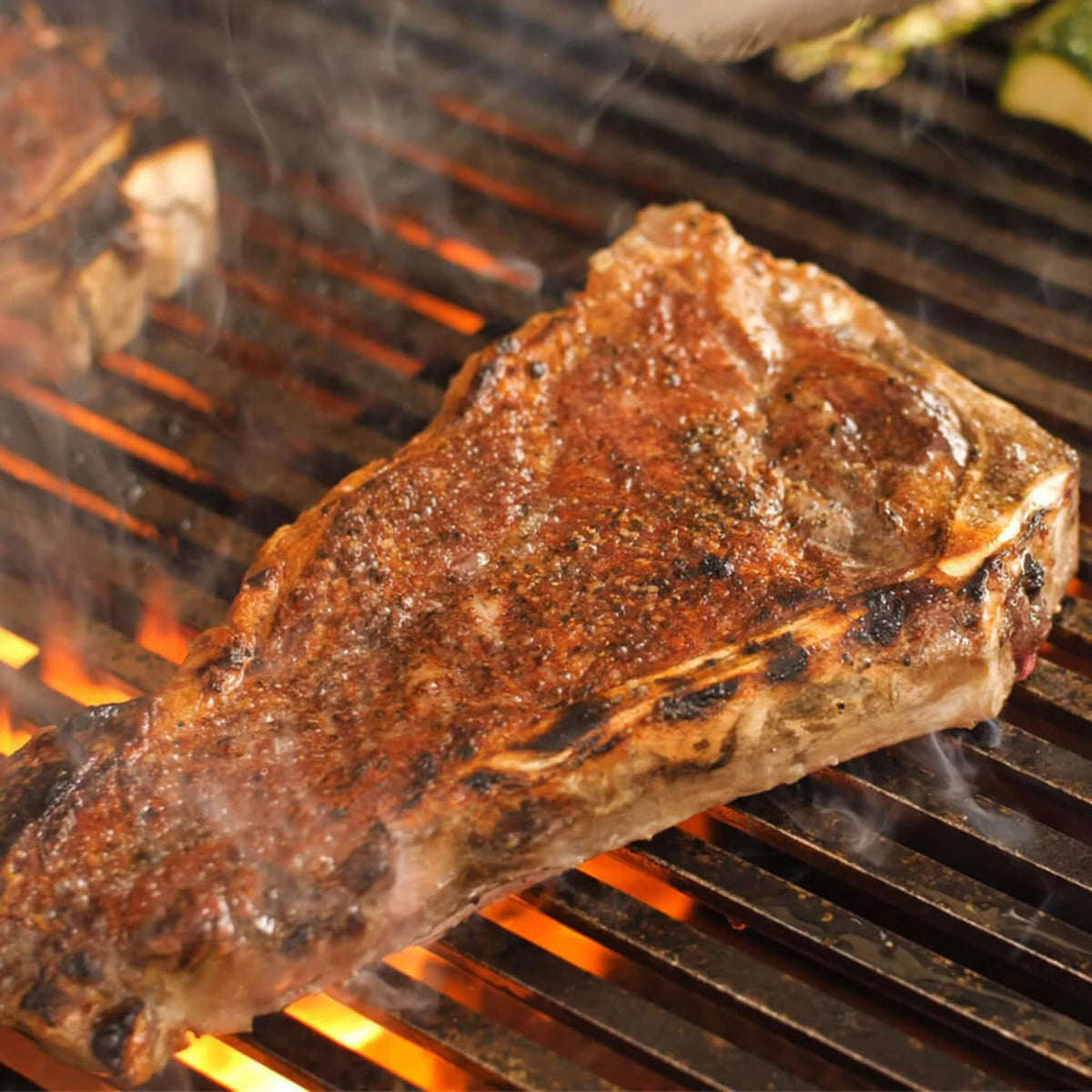 Fire Magic Choice 30-Inch Multi-User Built-In Grill With Analog Thermometer [CM540I-RT1N/P]